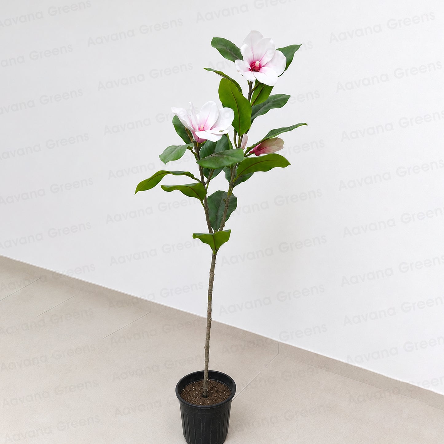Aavana Greens (100 CM) Artificial Magnolia Flower Tree for Outdoor & Indoor