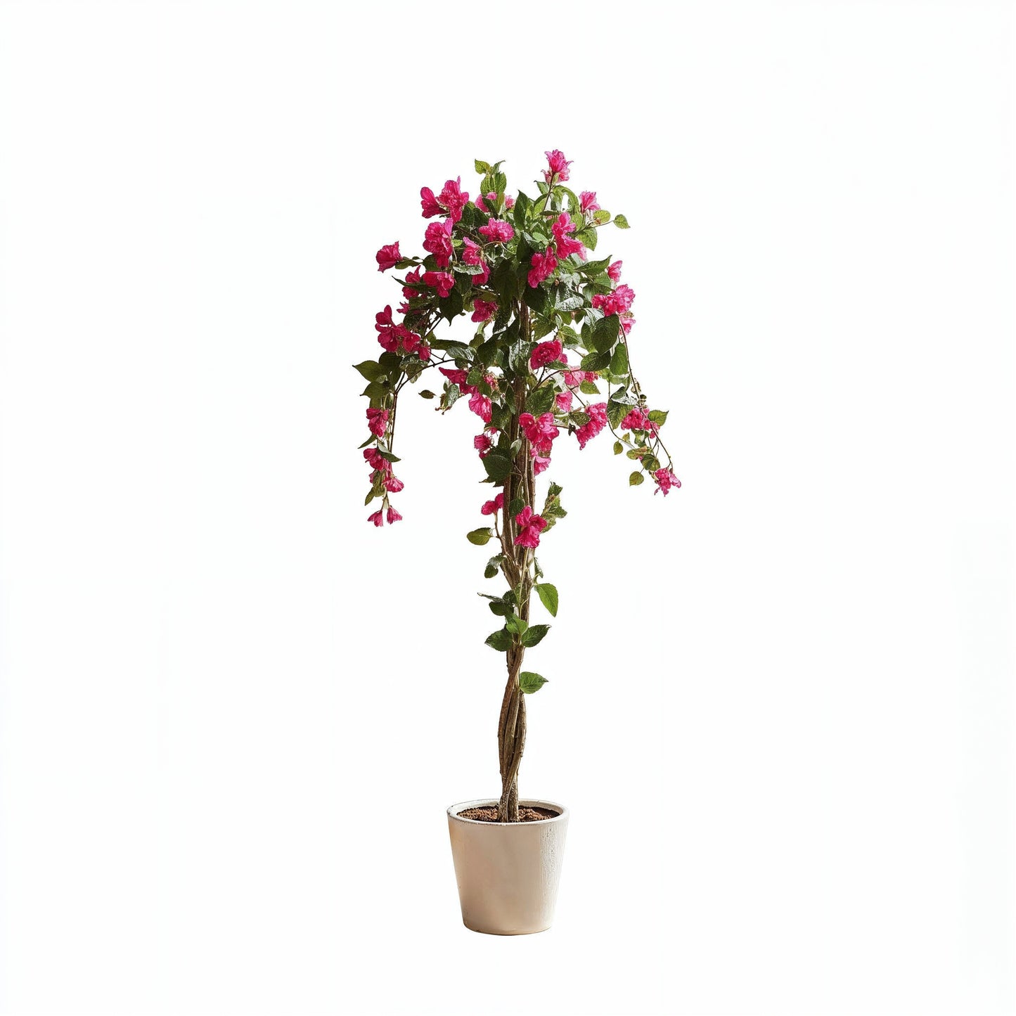 Aavana Greens (155 CM) Artificial Bougainvillea Plant for Outdoor & Indoor