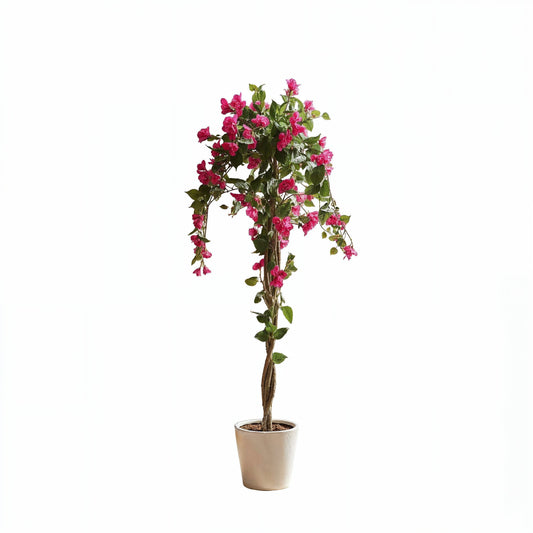 Aavana Greens (155 CM) Artificial Bougainvillea Plant for Outdoor & Indoor