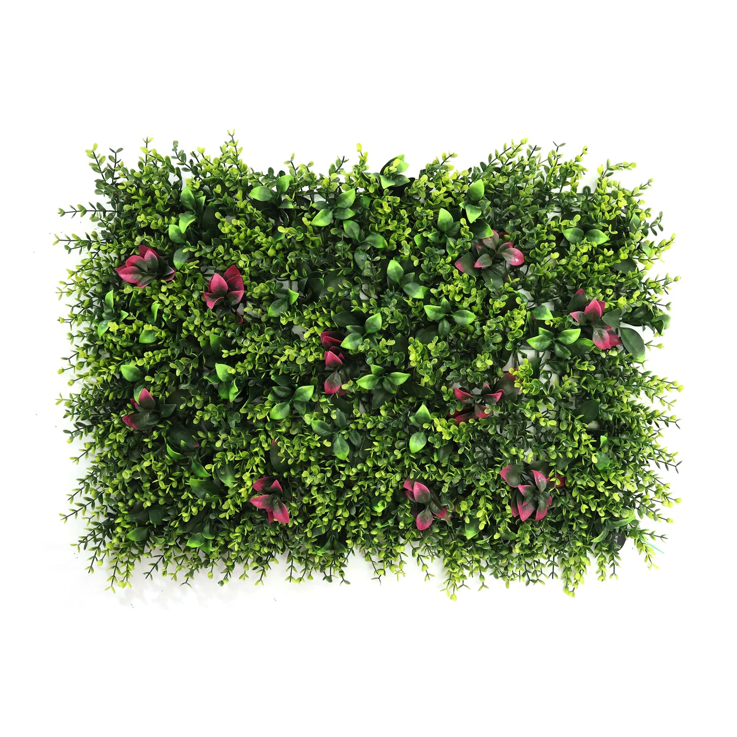 Artifcial Vertical Garden 1 (Copy)