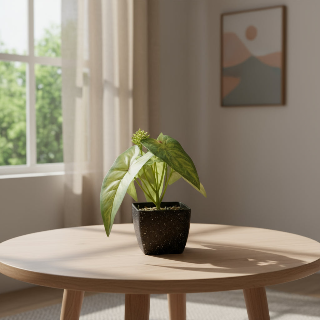 Aavana Greens 18 CM Artificial Potted Table Top Arrangement/Plant