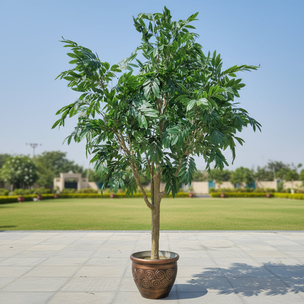 Aavana Greens 11.6 Feet (348 CM) Artificial Plant/Tree for Indoor and Outdoor, Home, Shop, Office, Restaurant Decoration, Pack of 1