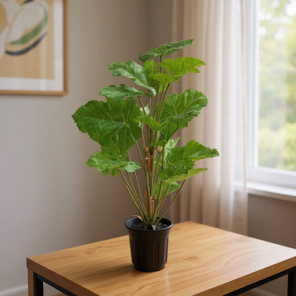 Aavana Greens (75 CM) Artificial Plant for Outdoor & Indoor