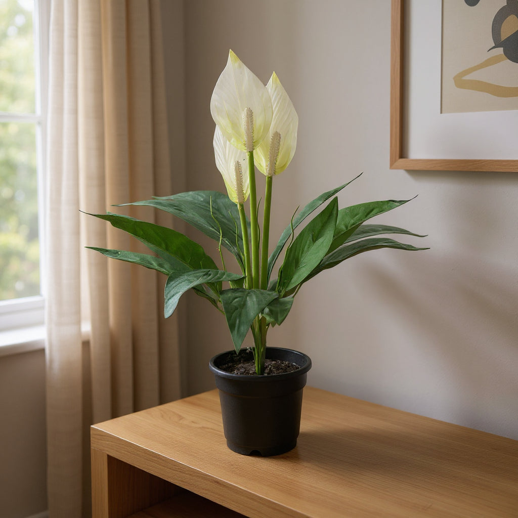 Aavana Greens (42.5 CM) Artificial Plant for Outdoor & Indoor