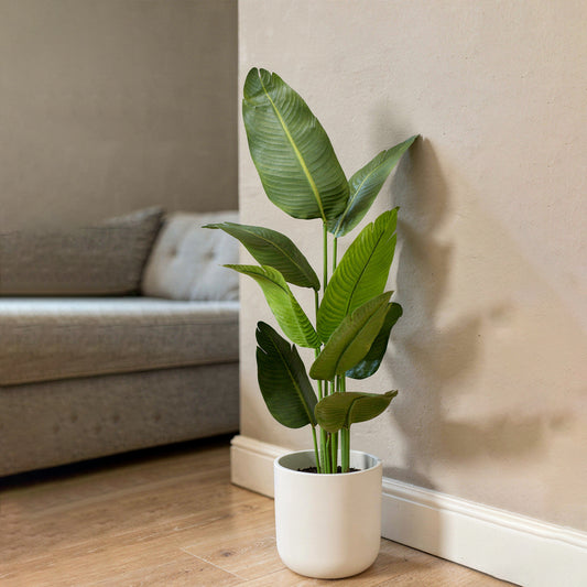 Aavana Greens (150 CM) Tropical Bird of Paradise Artificial Plant with Black Pot