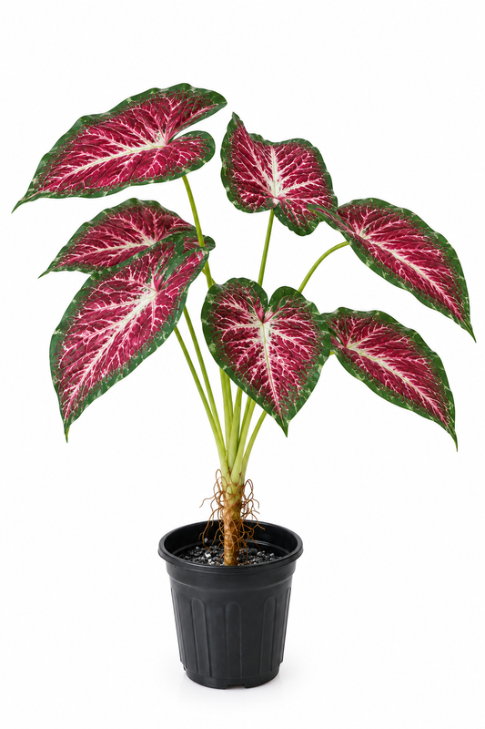 Aavana Greens (70 CM) Artificial Plant for Outdoor & Indoor
