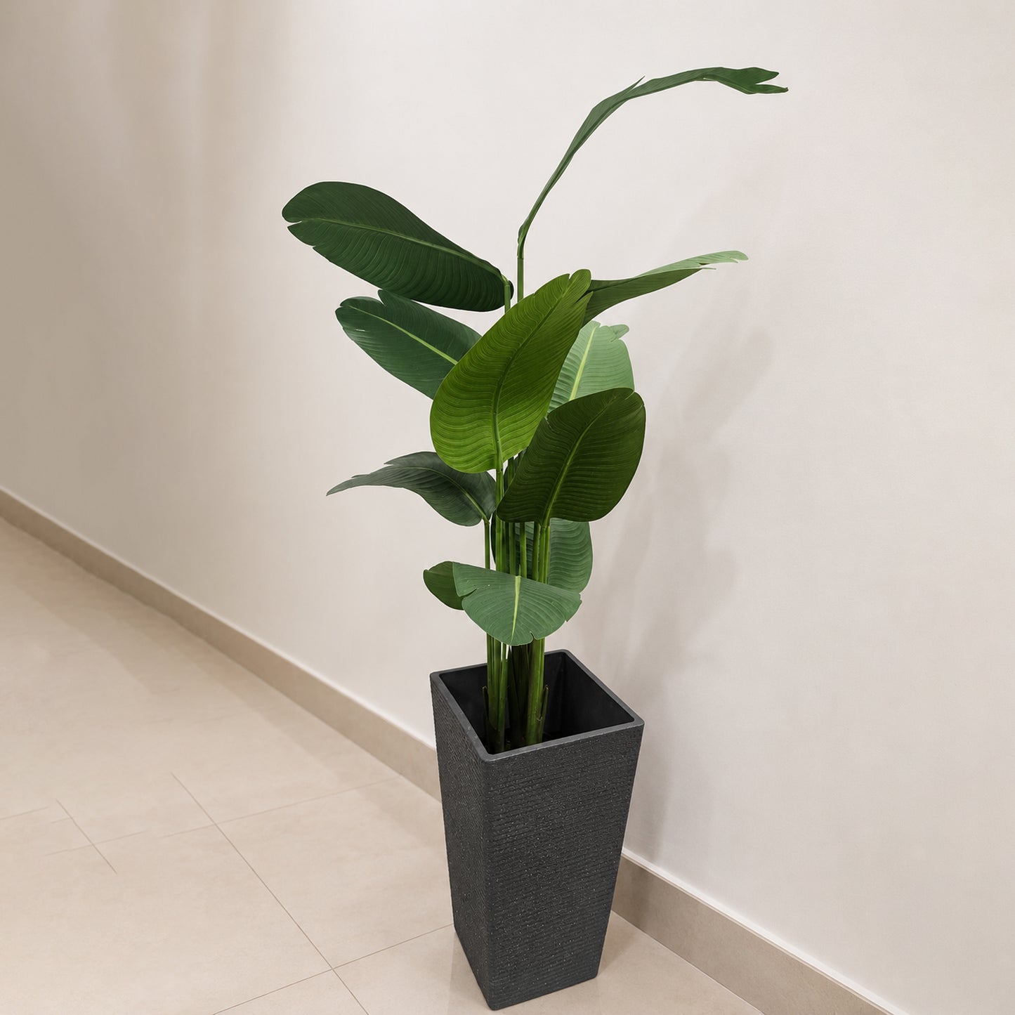 Aavana Greens (150 CM) Tropical Bird of Paradise Artificial Plant with Black Pot