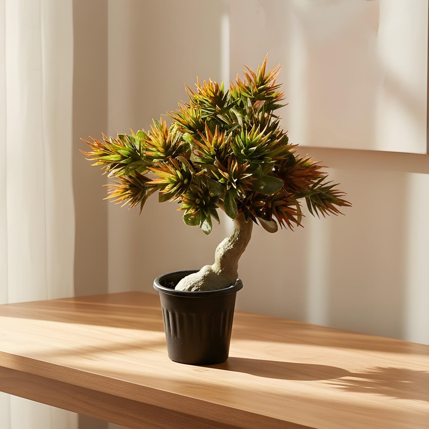 Aavana Greens (32 CM) Artificial Bonsai Plant for Indoor