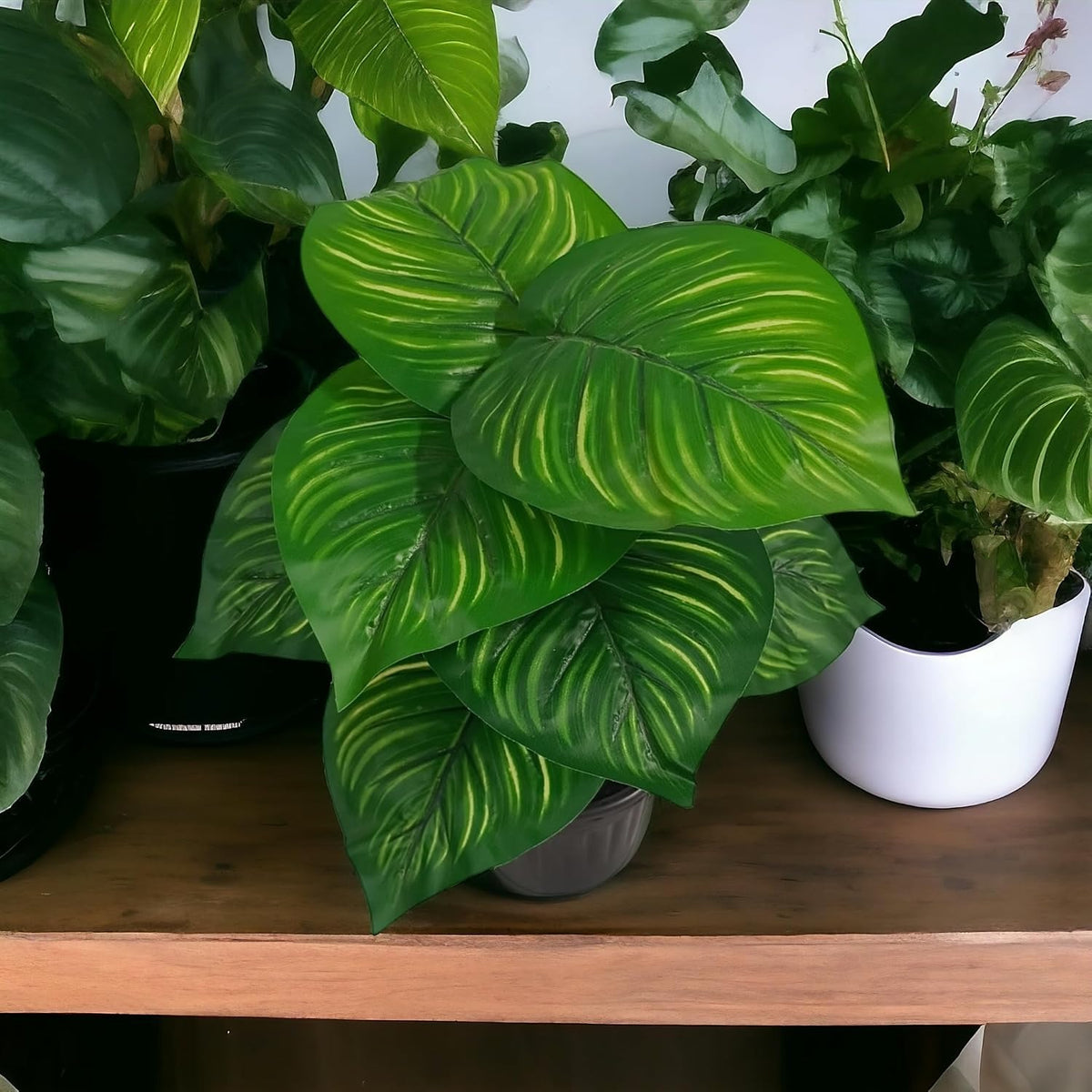 Aavana Greens (42.5 CM) Artificial Plant for Outdoor & Indoor