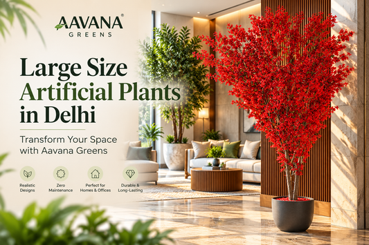 Large Size Artificial Plants in Delhi – Transform Your Space with Aavana Greens