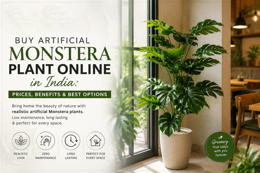 Buy Artificial Monstera Plant Online in India: Prices, Benefits & Best Options