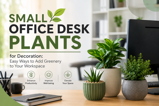 Small Office Desk Plants for Decoration: Easy Ways to Add Greenery to Your Workspace