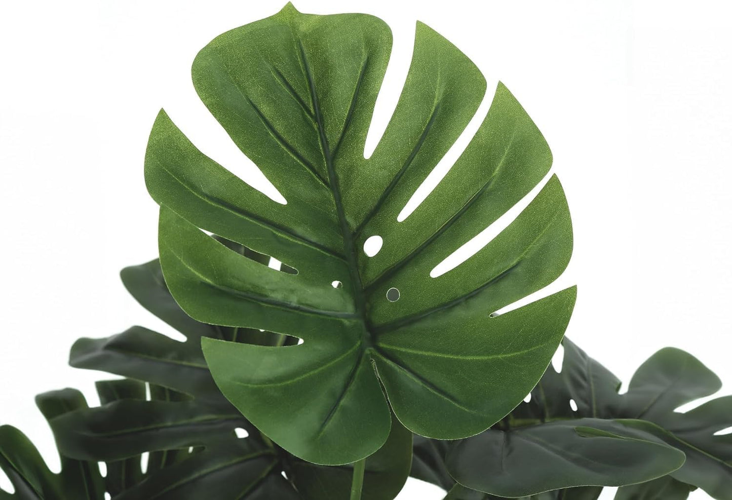 Aavana Greens (70 CM) Artificial Monstera Plants Rubber Faux Turtle Leaf Fake Tropical Large Palm Tree Indoor & Outdoor Decorations | 18 Leaves Plants | with Blackpot