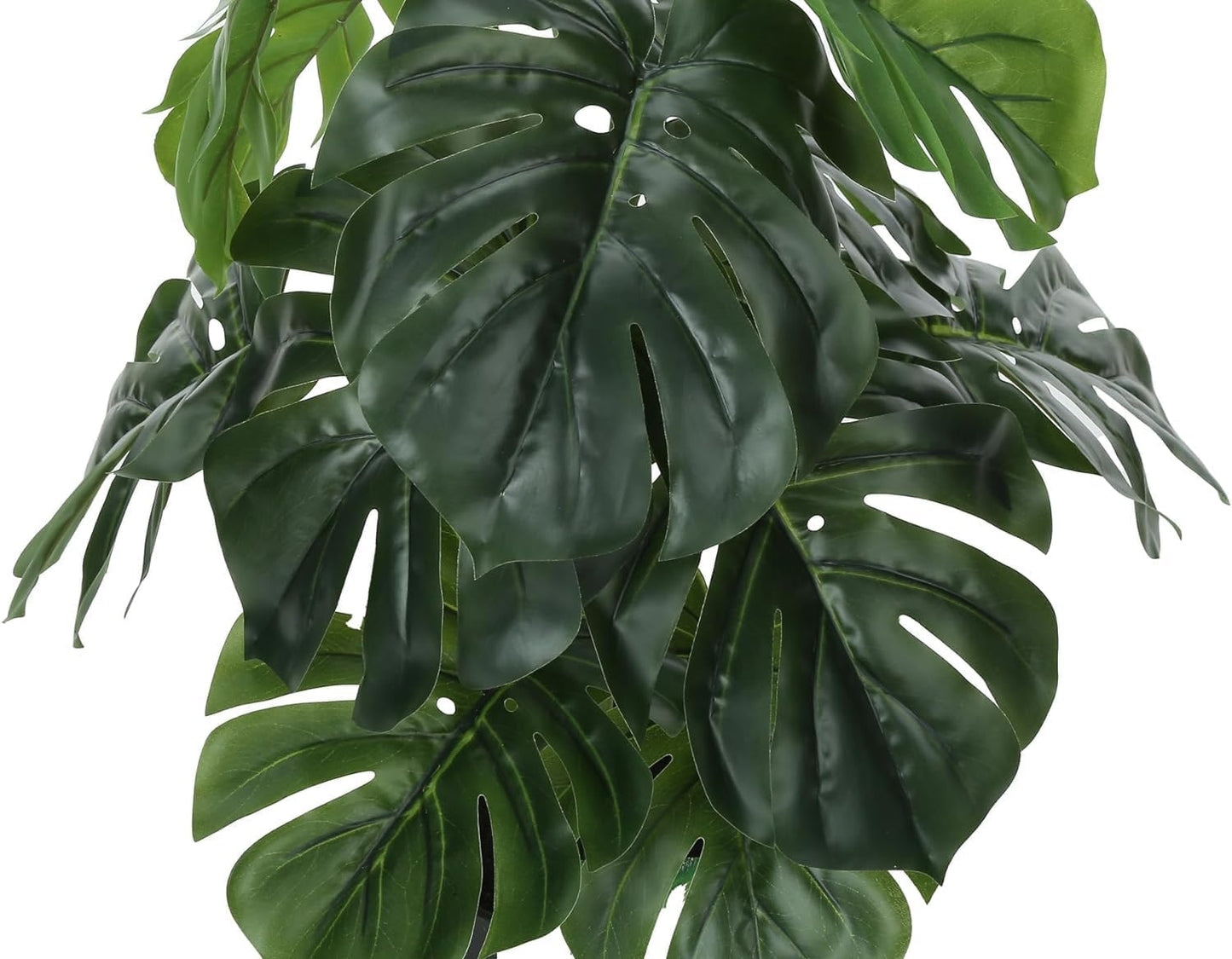 Aavana Greens (70 CM) Artificial Monstera Plants Rubber Faux Turtle Leaf Fake Tropical Large Palm Tree Indoor & Outdoor Decorations | 18 Leaves Plants | with Blackpot