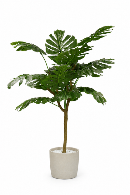 Aavana Greens (135 CM) Buy Home Bloom Artificial Monstera Plant.