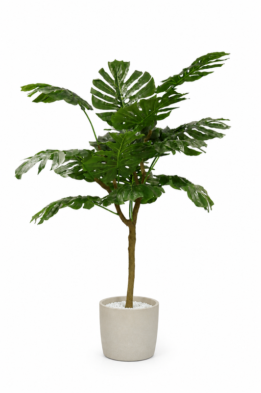 Aavana Greens (135 CM) Buy Home Bloom Artificial Monstera Plant.