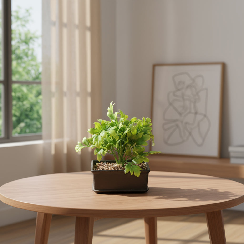 Aavana Greens 18 CM Artificial Potted Table Top Arrangement/Plant