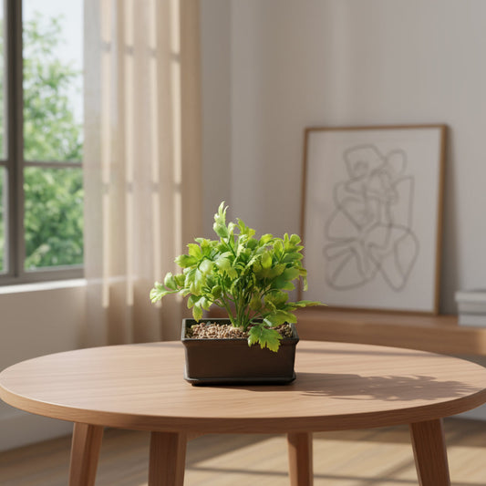 Aavana Greens 18 CM Artificial Potted Table Top Arrangement/Plant