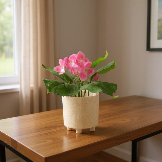 Aavana Greens 20 CM Artificial Potted Table Top Arrangement/Plant