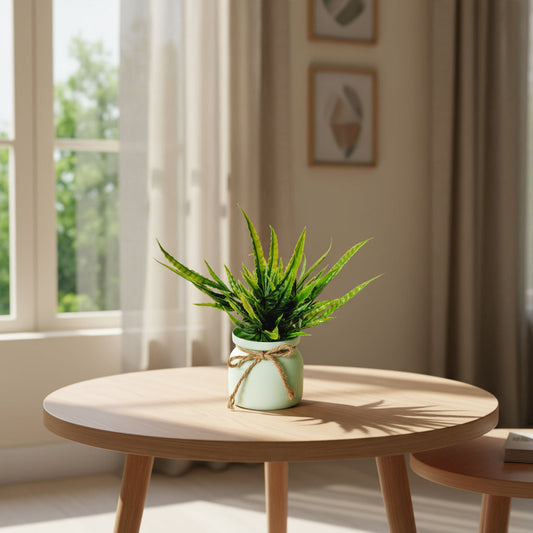 Aavana Greens 22 CM Artificial Potted Table Top Arrangement/Plant