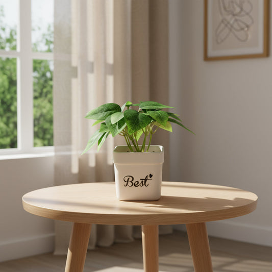 Aavana Greens 22 CM Artificial Potted Table Top Arrangement/Plant