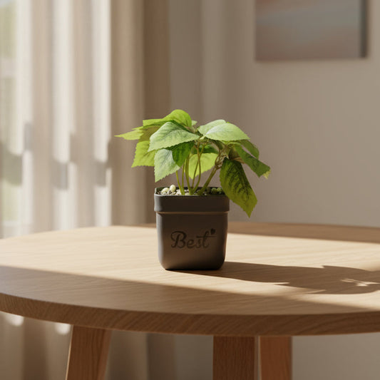 Aavana Greens 22 CM Artificial Potted Table Top Arrangement/Plant