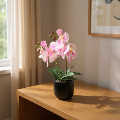 Aavana Greens 40 CM Artificial Potted Table Top Arrangement/Plant