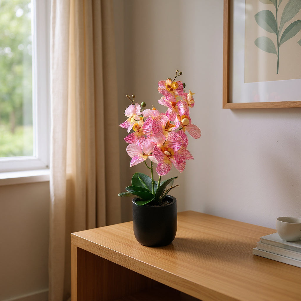 Aavana Greens 48 CM Artificial Potted Table Top Arrangement/Plant