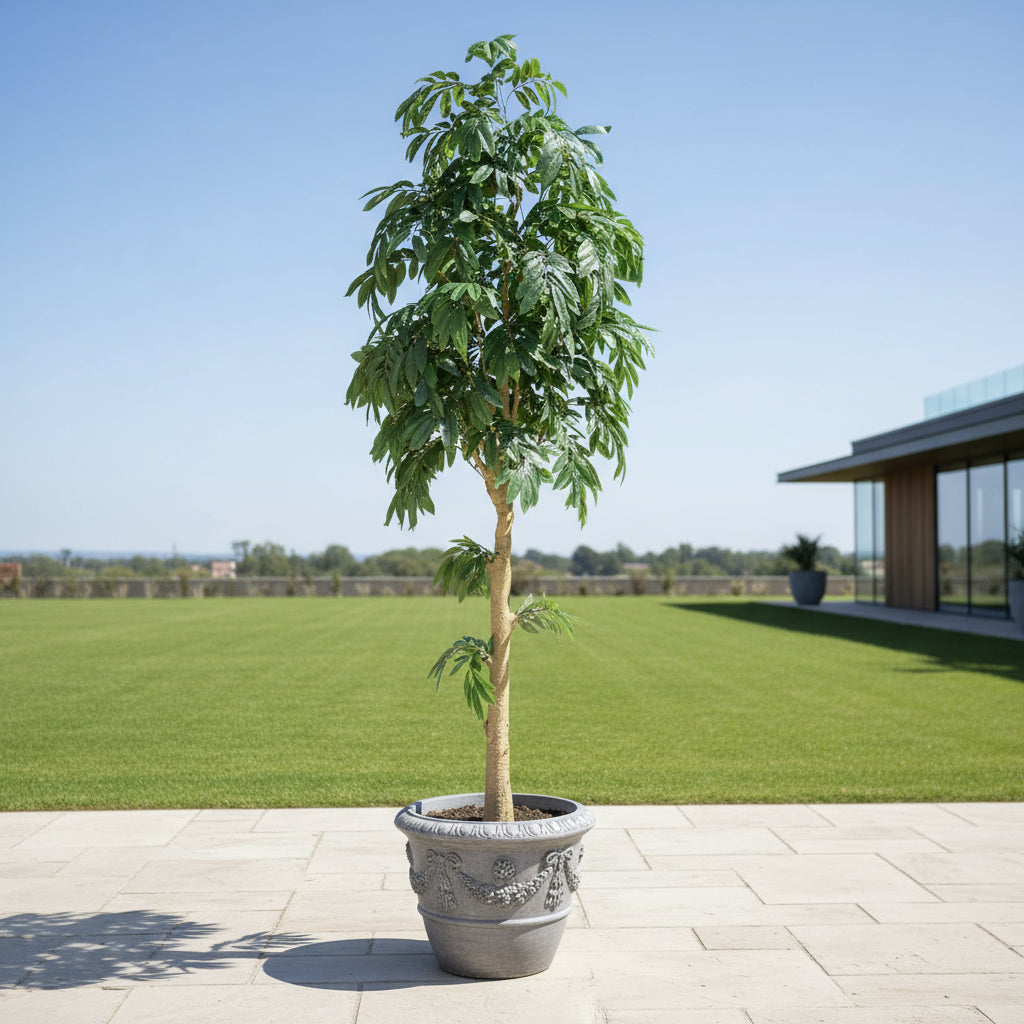 Aavana Greens 10.6 Feet (318 CM) Artificial Plant/Tree for Indoor and Outdoor, Home, Shop, Office, Restaurant Decoration, Pack of 1