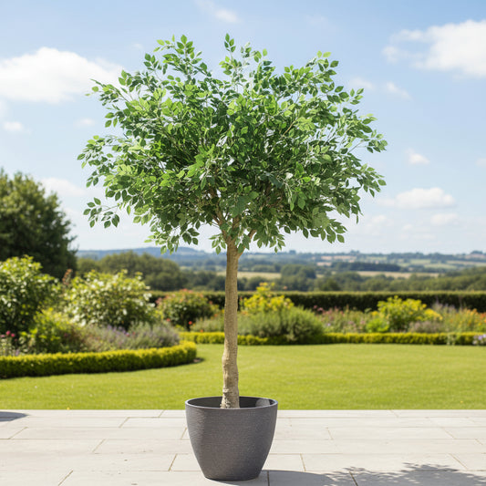 Aavana Greens 8.4 Feet (252 CM) Artificial Plant/Tree for Indoor and Outdoor, Home, Shop, Office, Restaurant Decoration, Pack of 1