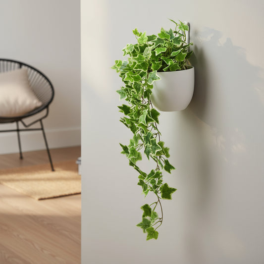 Aavana Greens Artificial Hanging Creepers without Pot for Balcony Terrace Living Room & Vertical Garden Decoration – UV Protected & Maintenance Free