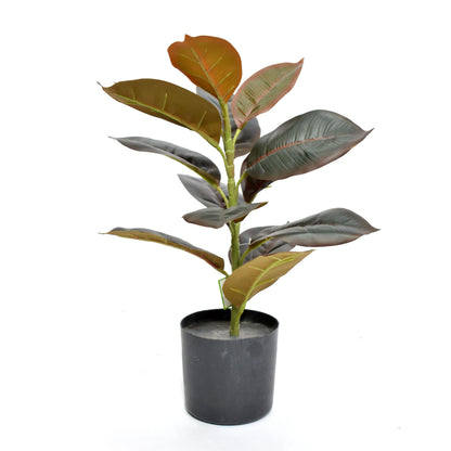 Aavana Greens (47.5 CM) Artificial Plant for Outdoor & Indoor