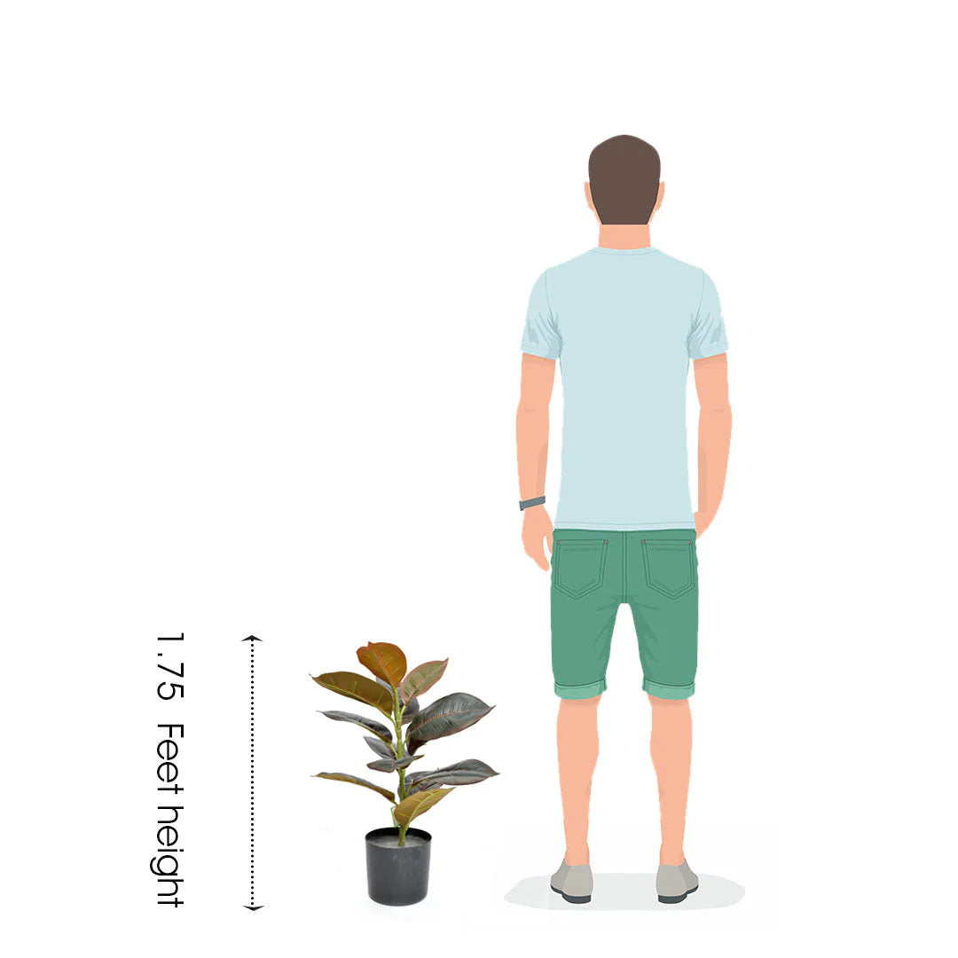 Aavana Greens (47.5 CM) Artificial Plant for Outdoor & Indoor