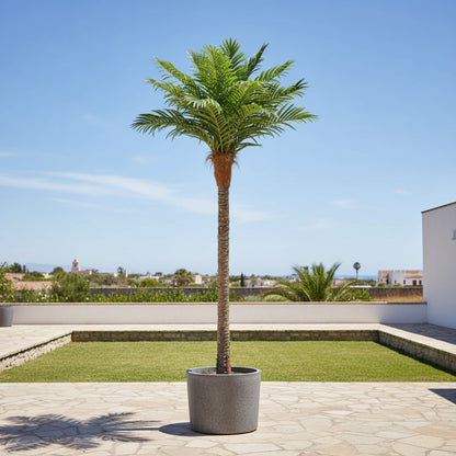 Aavana Greens 10 Feet (300 CM) Artificial Tall Palm Plant for Indoor and Outdoor, Home, Shop, Office, Restaurant Decoration, Pack of 1