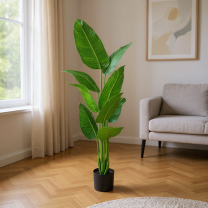 Aavana Greens (150 CM) Tropical Bird of Paradise Artificial Plant with Black Pot
