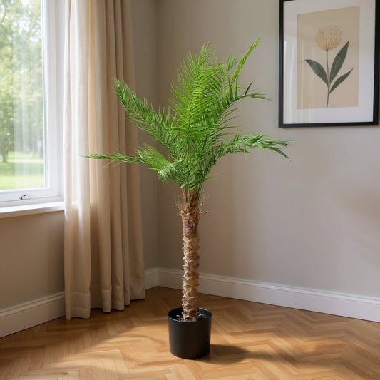 Aavana Greens (150 CM) Artificial Plant for Outdoor & Indoor