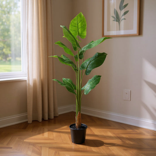 Aavana Greens (167.5 CM) Artificial Plant for Outdoor & Indoor