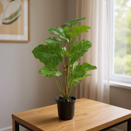 Aavana Greens (75 CM) Artificial Plant for Outdoor & Indoor