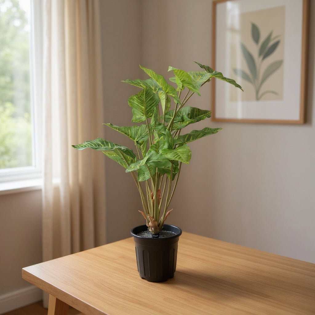 Aavana Greens (75 CM) Artificial Plant for Outdoor & Indoor