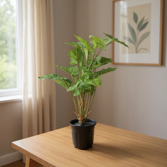 Aavana Greens (75 CM) Artificial Plant for Outdoor & Indoor