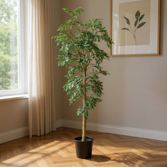 Aavana Greens 8 Feet (240 CM) Artificial Plant for Indoor and Outdoor, Home, Shop, Office, Restaurant Decoration, Pack of 1