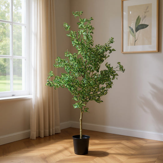 Aavana Greens 7 Feet (210 CM) Artificial Plant/Tree for Indoor and Outdoor, Home, Shop, Office, Restaurant Decoration Dark Green (Pack of 1)