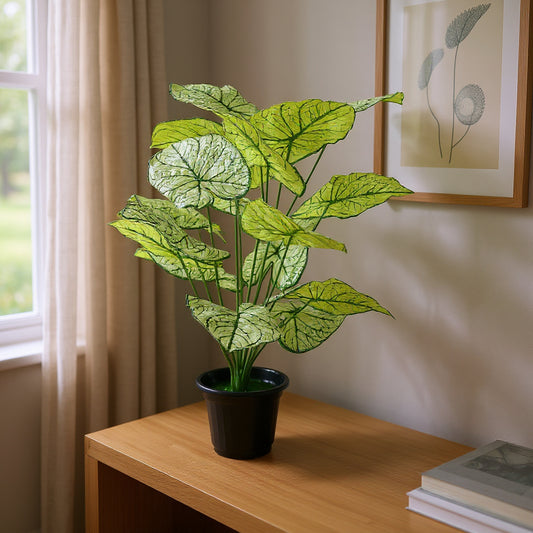 Aavana Greens (75 CM) Artificial Plant for Outdoor & Indoor