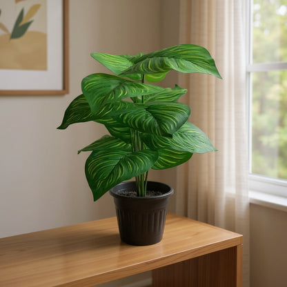 Aavana Greens (42.5 CM) Artificial Plant for Outdoor & Indoor