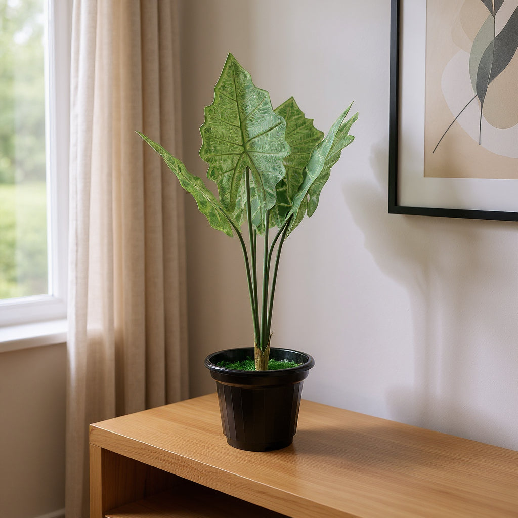 Aavana Greens (60 CM) Artificial Plant for Outdoor & Indoor