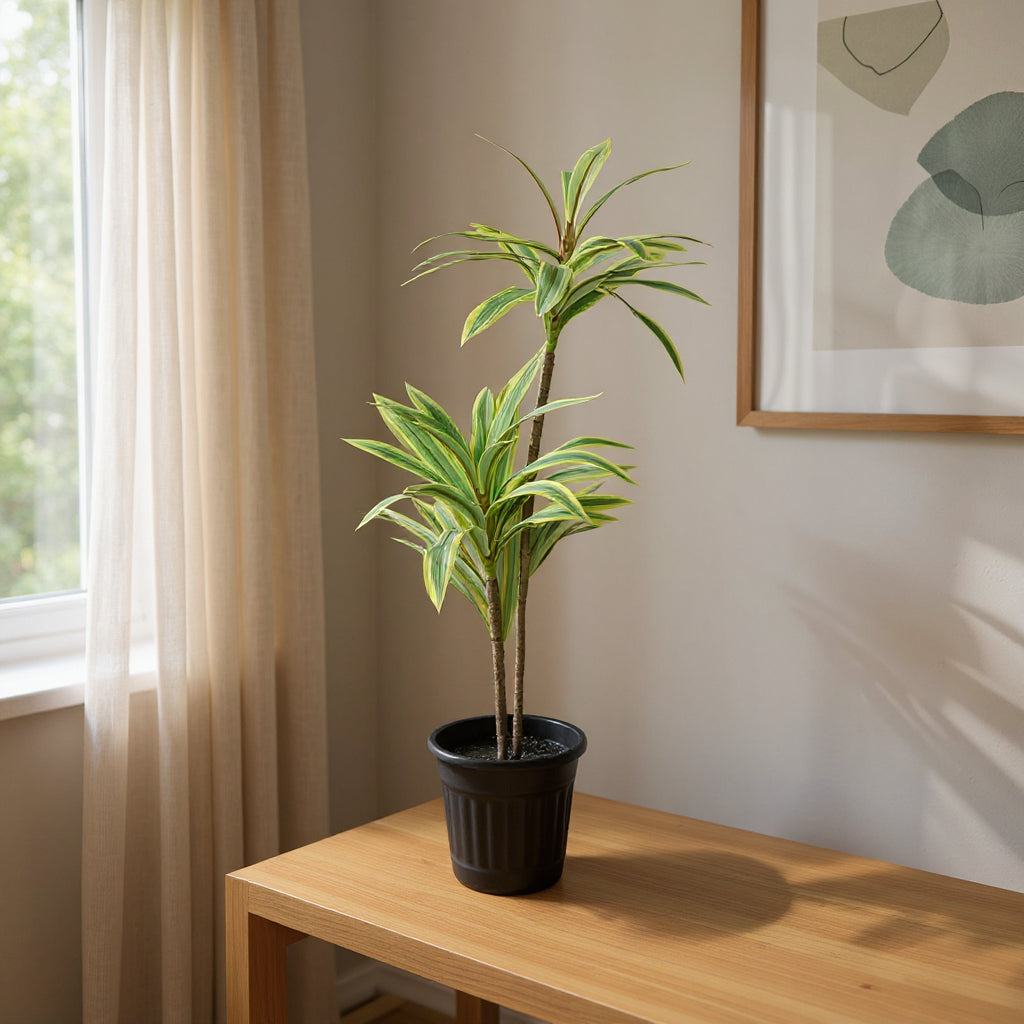 Aavana Greens (72.5 CM) Artificial Plant for Outdoor & Indoor