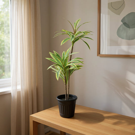 Aavana Greens (72.5 CM) Artificial Plant for Outdoor & Indoor