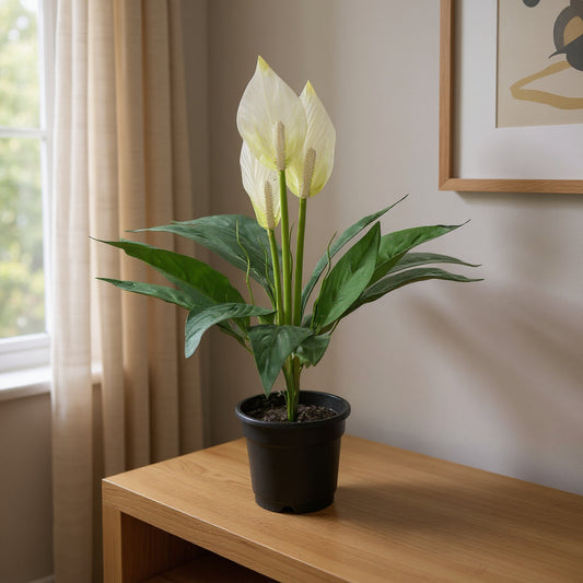 Aavana Greens (42.5 CM) Artificial Plant for Outdoor & Indoor