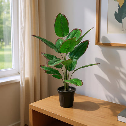 Aavana Greens (75 CM) Artificial Banana Plant for Outdoor & Indoor