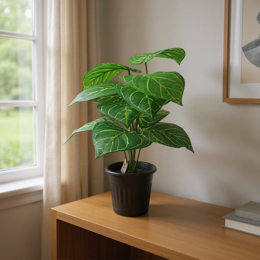 Aavana Greens (45 CM) Artificial Plant for Outdoor & Indoor